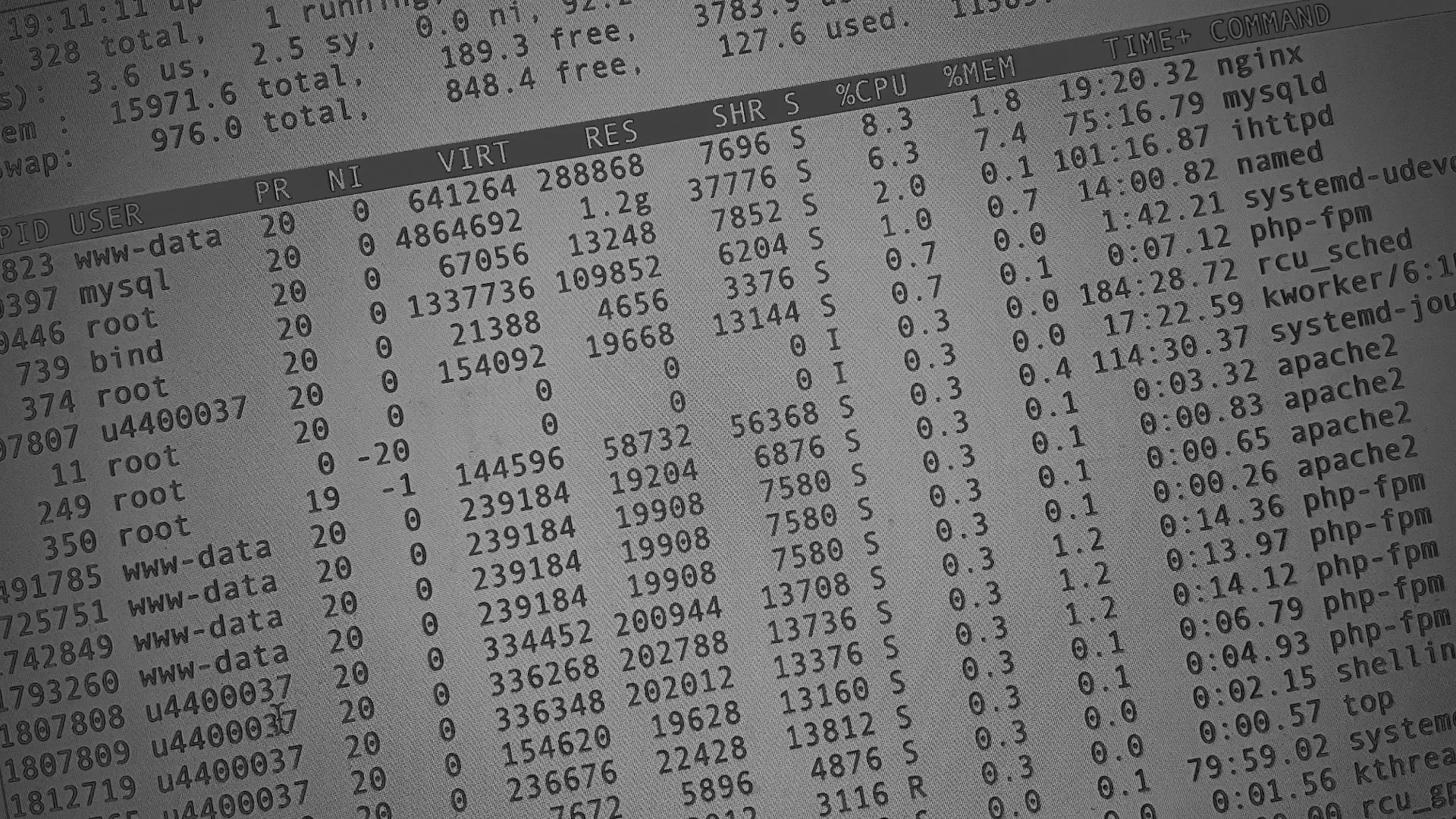 Настройка сервера в Сурске